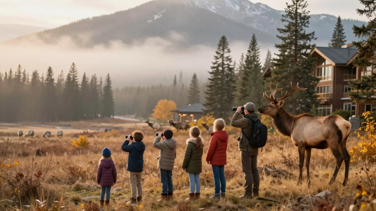 A family observes elk with a park ranger in Banff at sunrise, surrounded by misty mountains and pine trees.