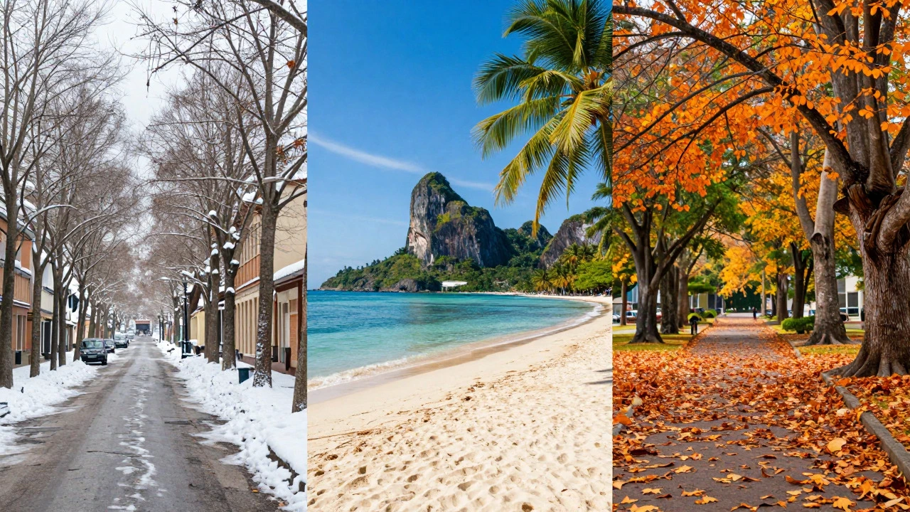 Collage of winter Europe, autumn Asia, and fall Americas travel scenes